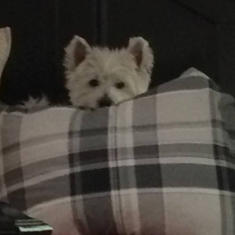 Meet your Posher, Stephen